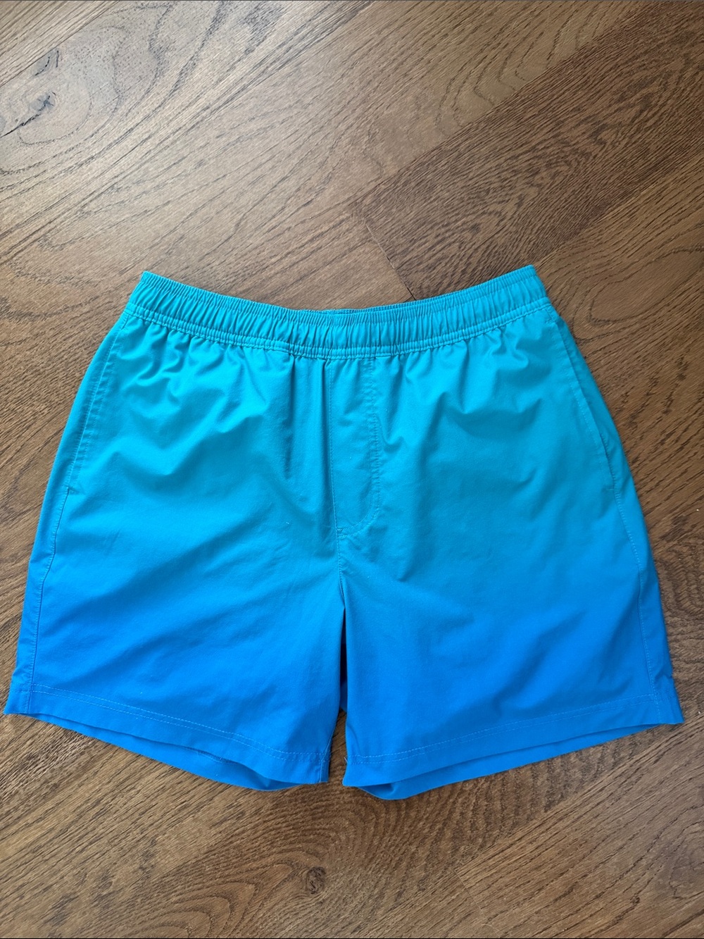 Men's Chubbies Blue Swim Shorts with Golden Retriever Liner, small, 5.5 inseam